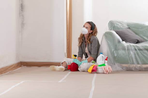 Reliable Mold Removal contractor in Riverton, IL by 24 Hour Mold Removal